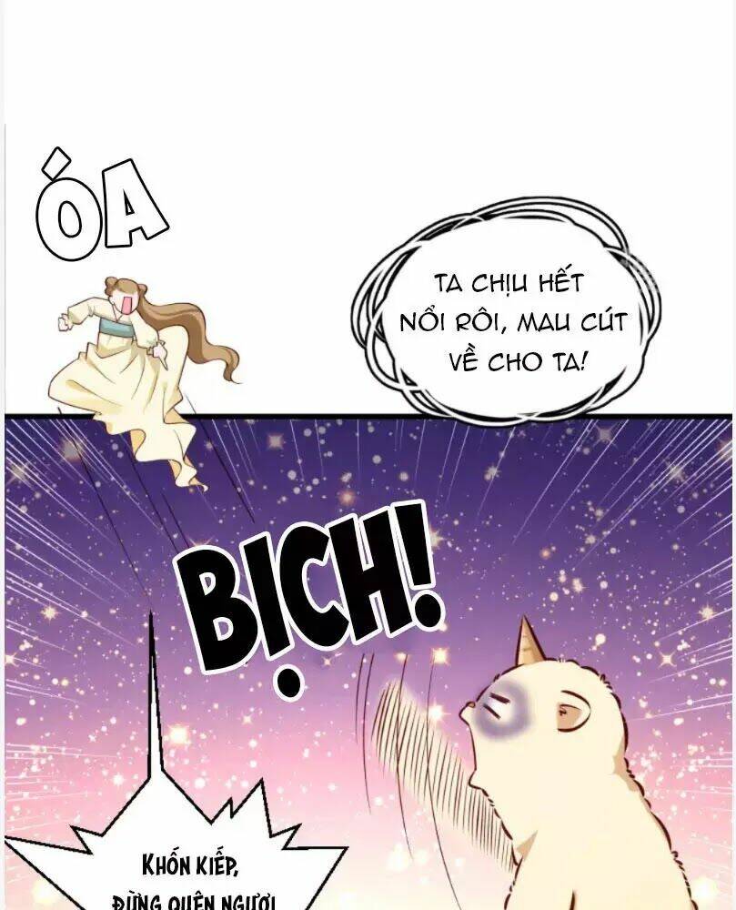 Tiểu Hoàng Thư Và Tiểu Hoàng Thúc: Chapter 55