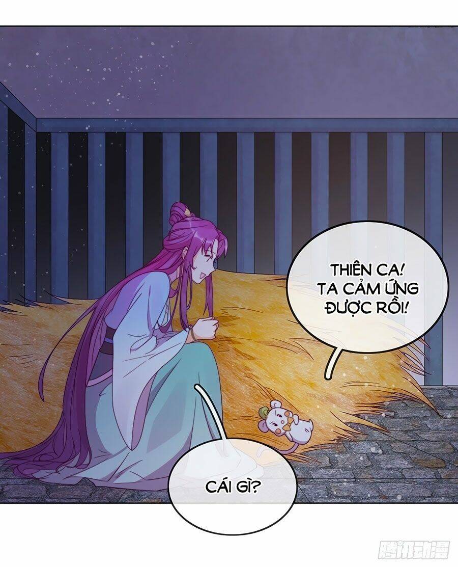 Vân Tưởng Chi Ca: Truy Ái Chỉ Lệnh: Chapter 11