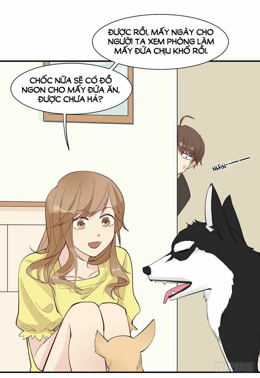 Nguyệt Lão Không Cho Phép Tôi Yêu Đương: Chapter 3