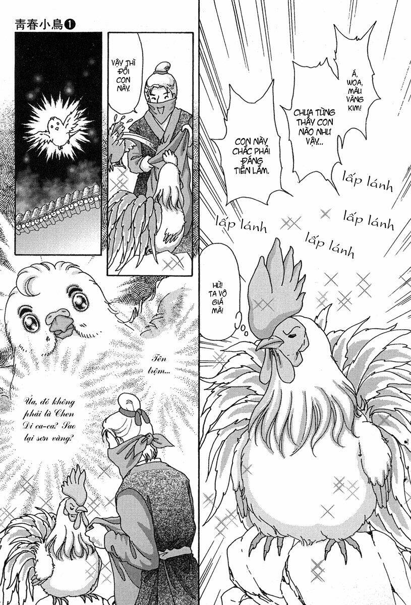 Bird Of Youth: Chapter 4