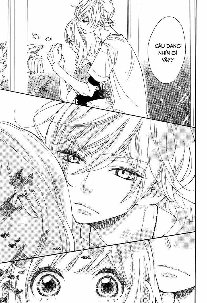 Koisuru Harinezumi: Chapter 13