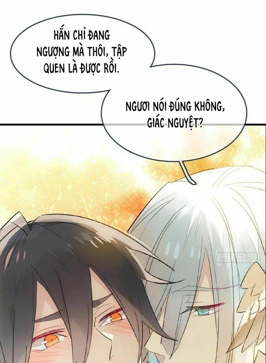 Sư Phụ Lại Trêu Chọc Ta: Chapter 62