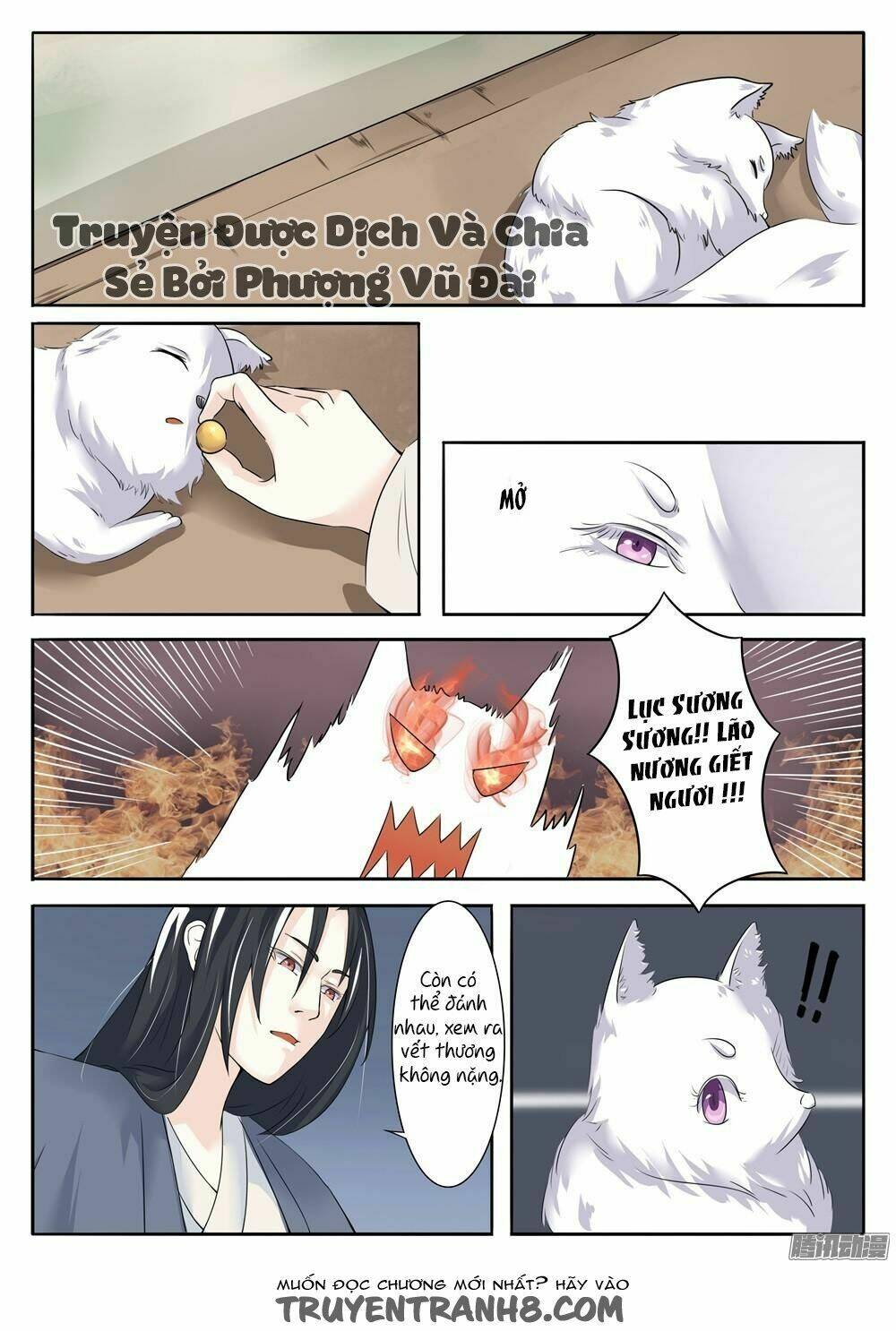 Sủng Hồ Thành Phi: Chapter 5