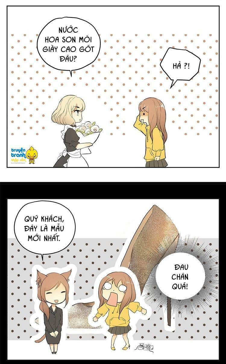 Cứu Mạng! Loài Mèo Thống Trị Thế Giới Rồi!: Chapter 17