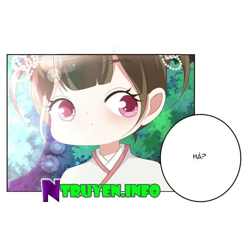 Thông Linh Phi: Chapter 167