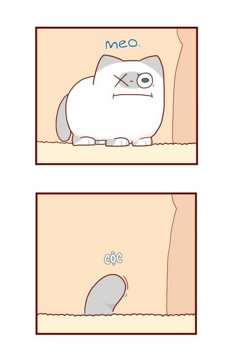 Saphie: Chú mèo một mắt: Chapter 9