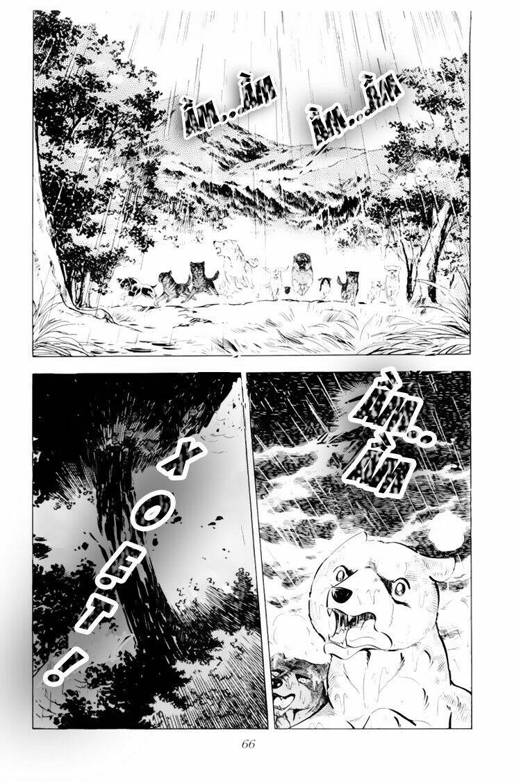 Chú Chó Có Nghĩa - Ginga Nagareboshi Gin: Chapter 32.1