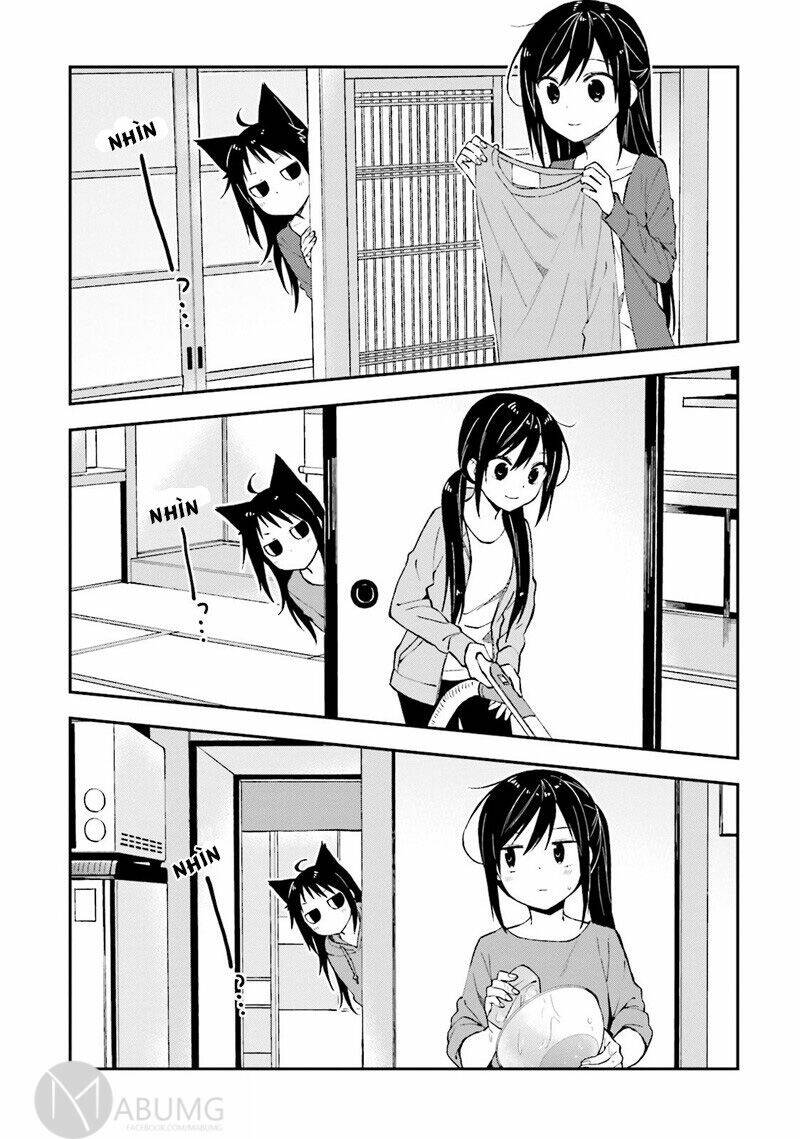 Ayakashiko: Chapter 22