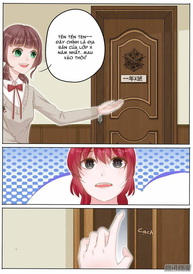 Vương Bài Giáo Thảo: Chapter 6