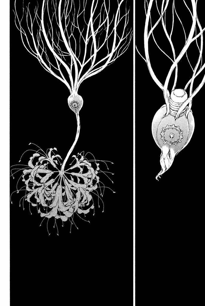 Doll's Folklore: Chapter 13