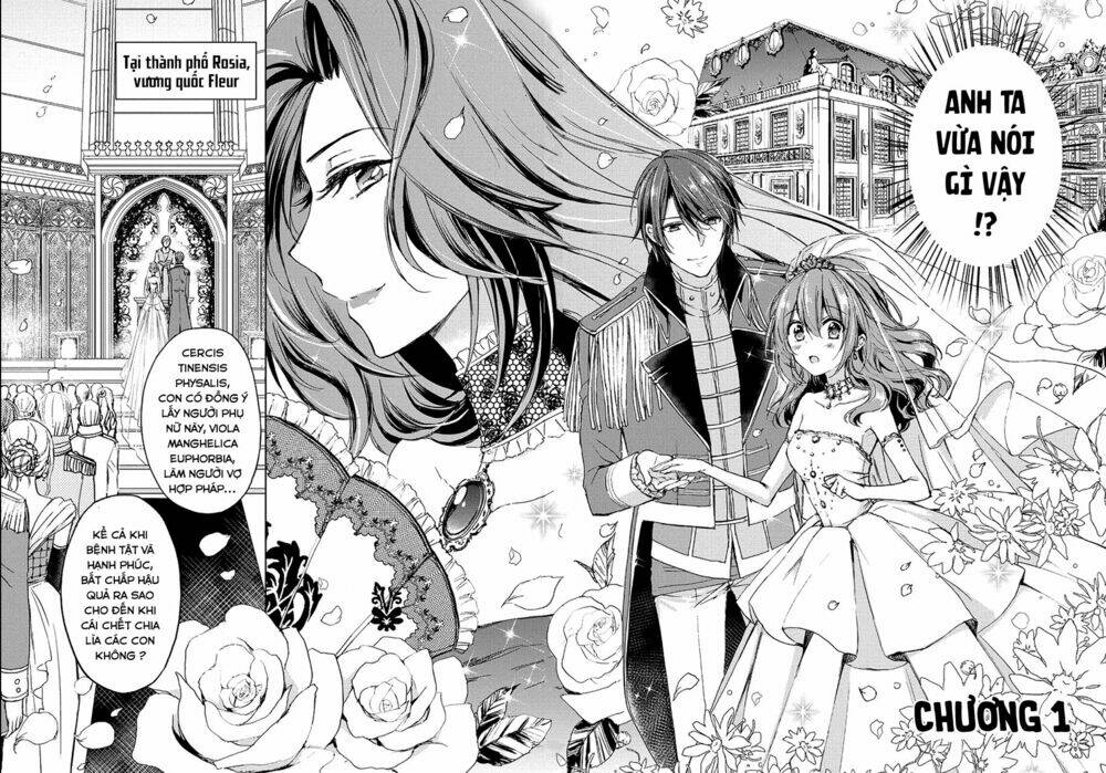 Dareka Kono Joukyou Wo Setsumei Shite Kudasai!: Chapter 1