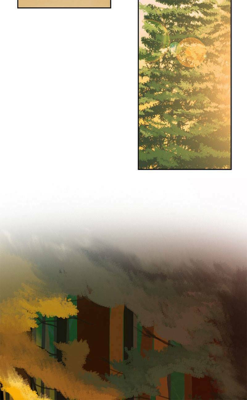 Lãnh Huyết Vương (King): Chapter 1