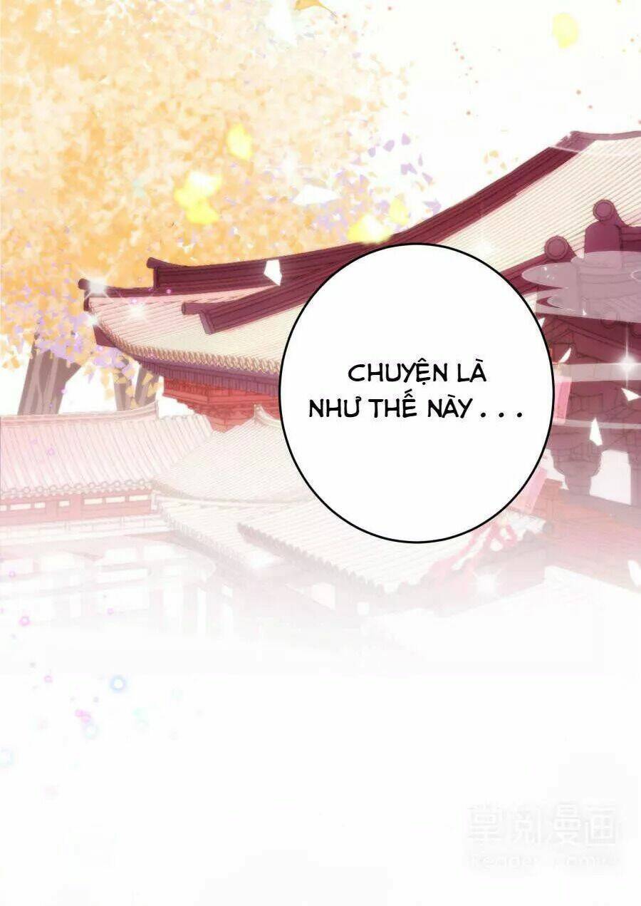 Vương Phi, Vương Gia Nhà Ngươi Không Ngốc Nữa Rồi: Chapter 7