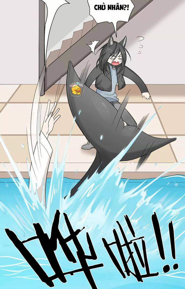 Bạn Trai Là Quái Vật: Chapter 14
