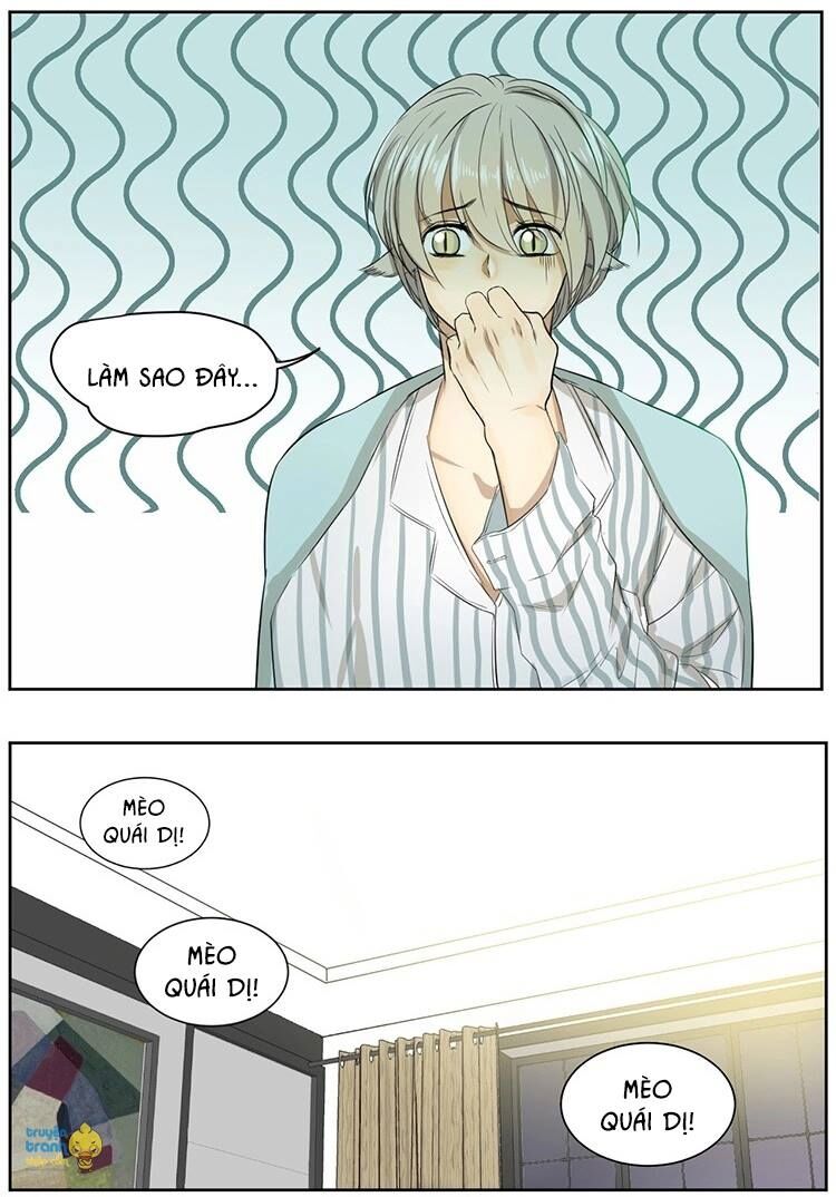Cứu mạng ! Loài mèo thống trị thế giới rồi !: Chapter 10