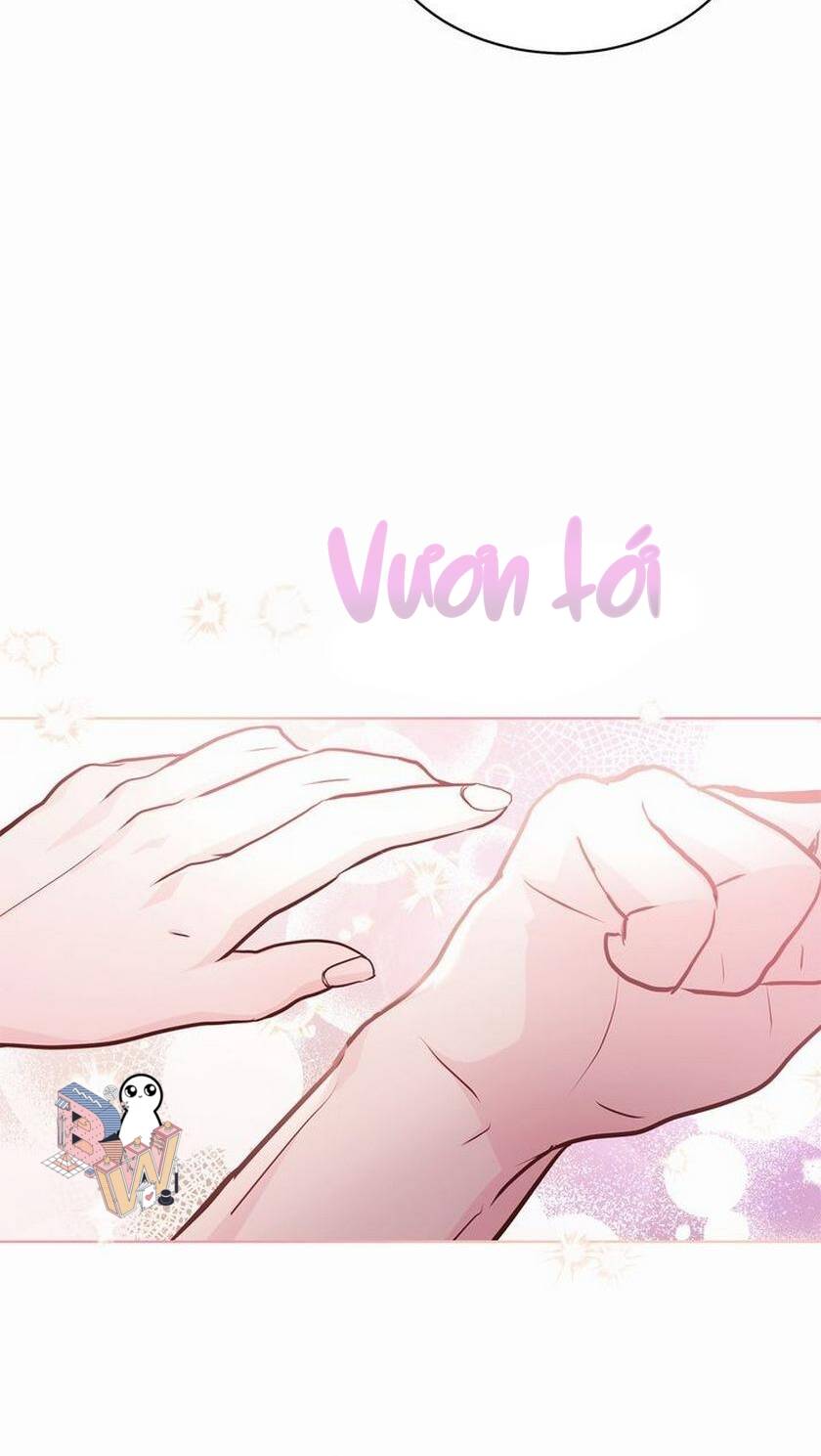 Nàng Dâu Bí Ẩn Của Bạch Sư Tử: Chapter 6