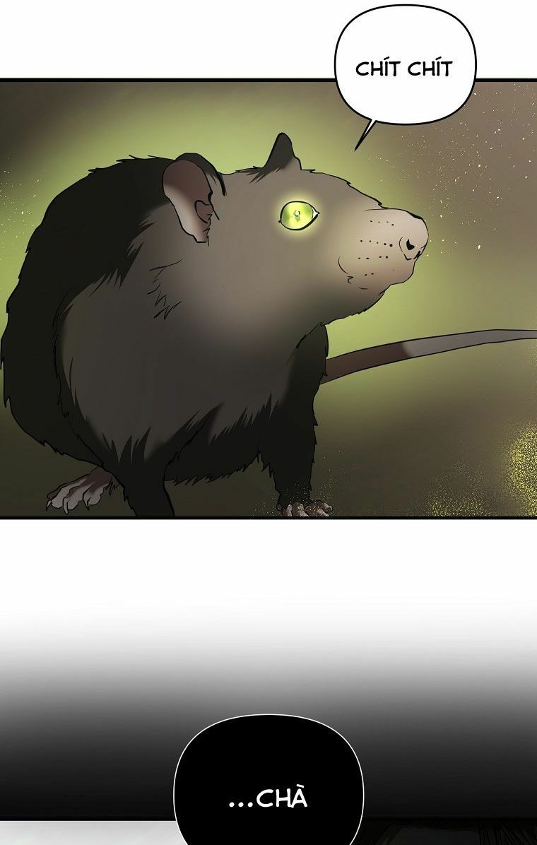 CÁCH SỐNG SÓT SAU KHI NGỦ VỚI HOÀNG ĐẾ: Chapter 14