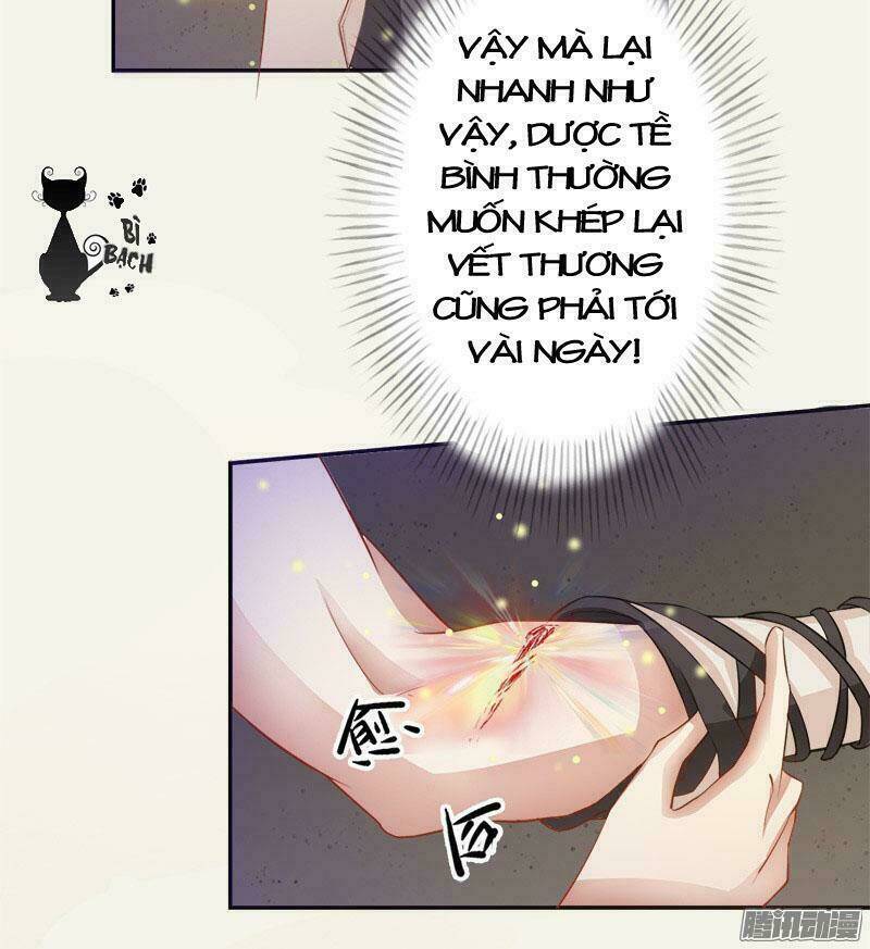 Tuyệt Thế Luyện Đan Sư: Chapter 5