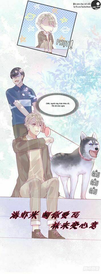 Vương Bài Điềm Mật: Chapter 1