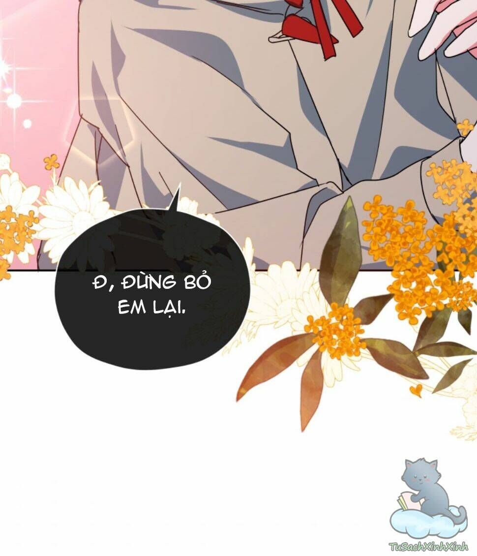 Nàng Elizabeth Thuần Khiết: Chapter 36