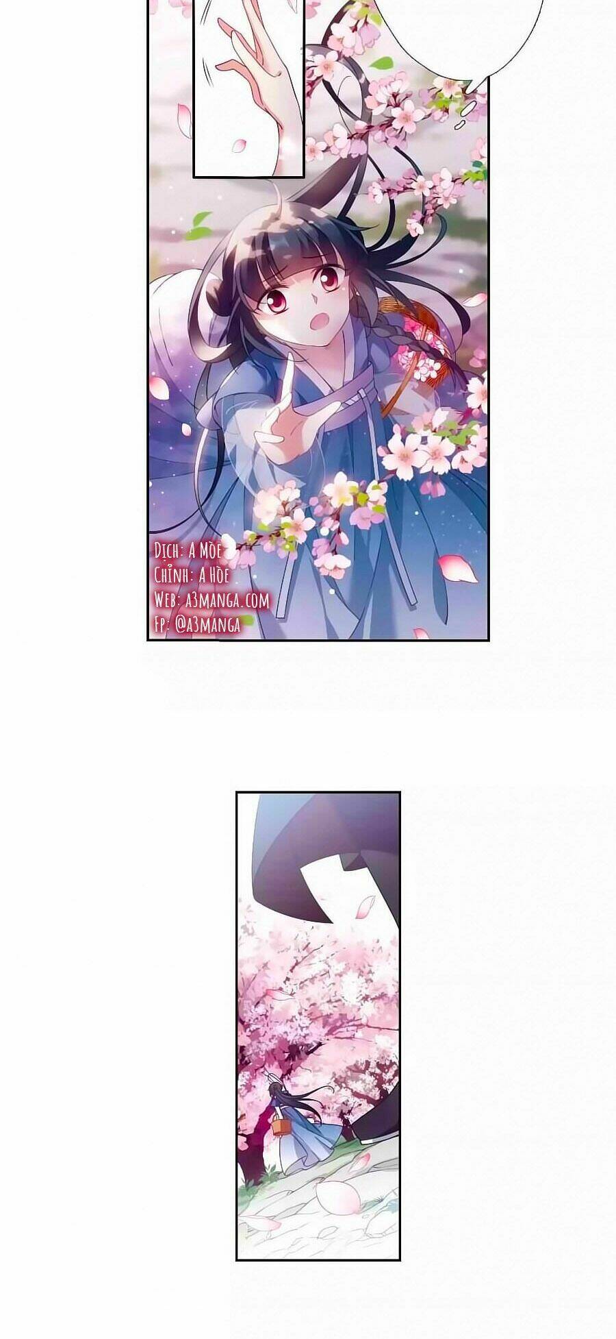 Toàn Cơ Từ: Chapter 37.5