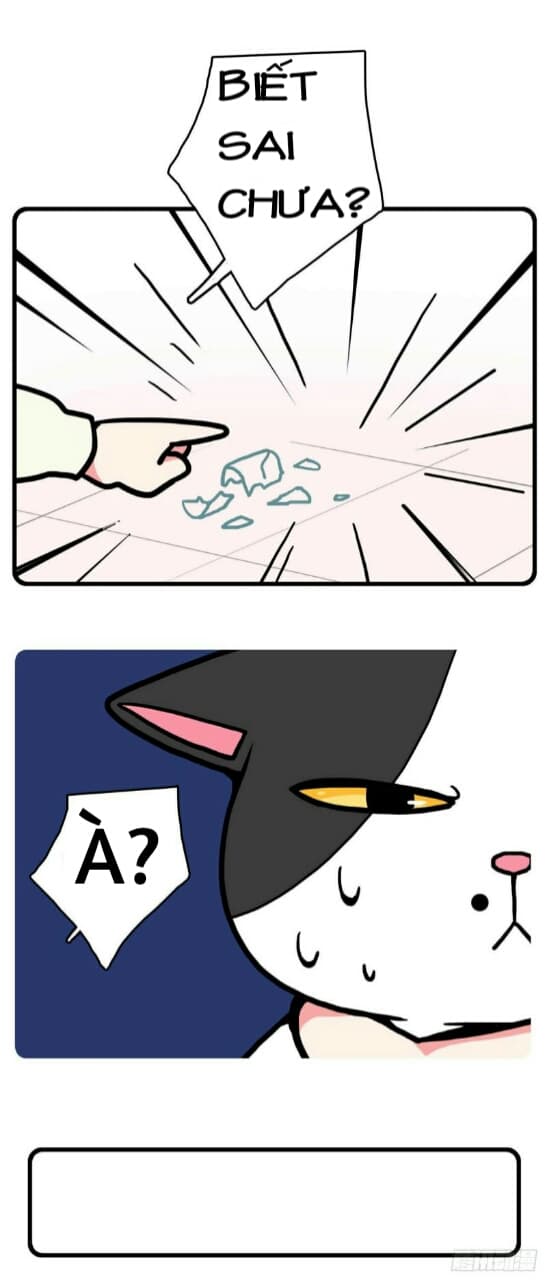 Hello Dư Tuyết Đặc: Chapter 1