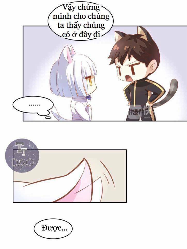 Dưới Móng Vuốt Mèo: Chapter 4