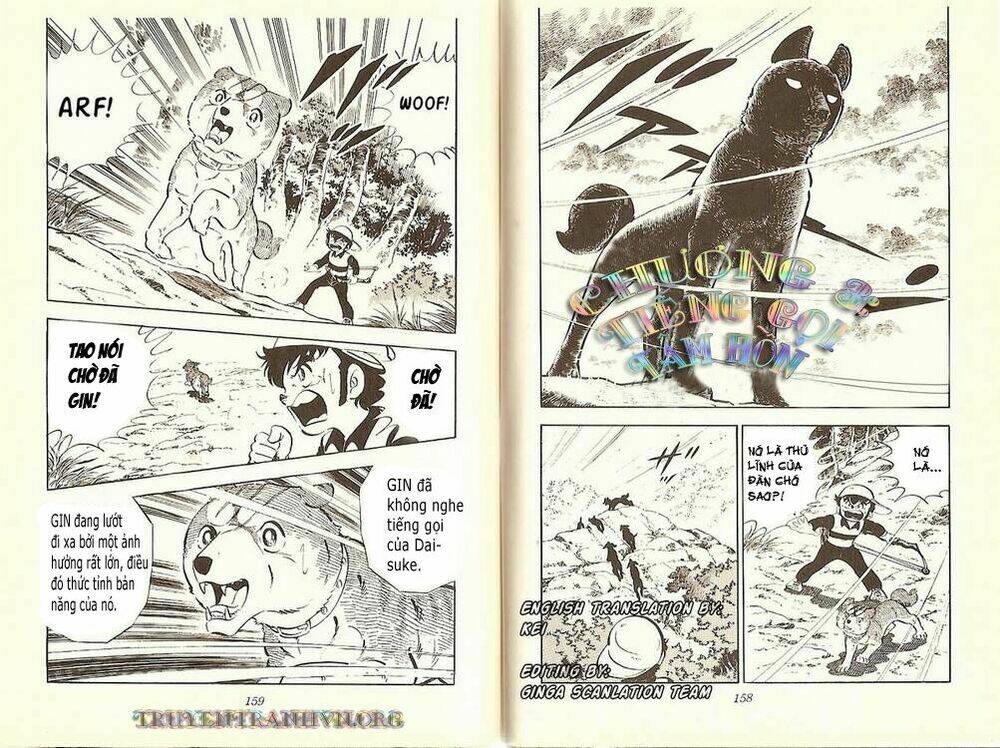 Chú Chó Có Nghĩa - Ginga Nagareboshi Gin: Chapter 10