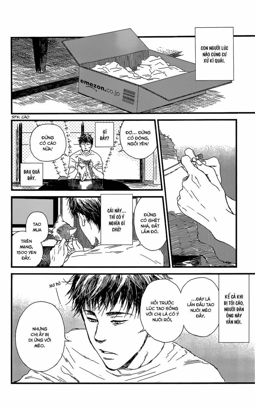 Shiki No Zenjitsu: Chapter 7