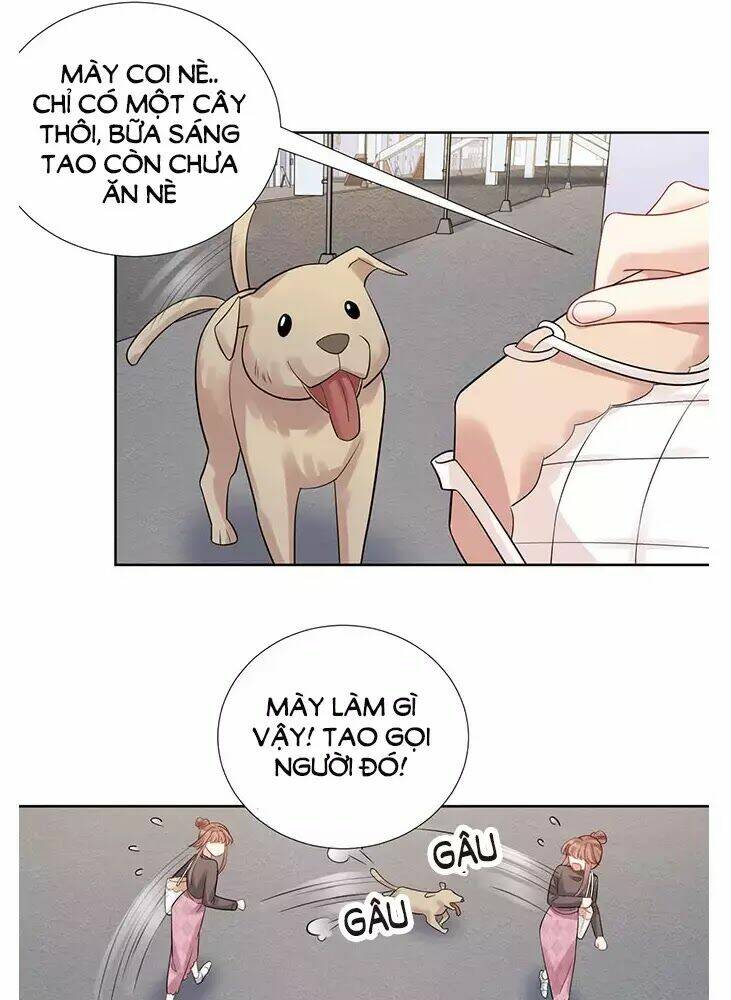 Trọng Sinh Để Ngủ Với Ảnh Đế: Chapter 219