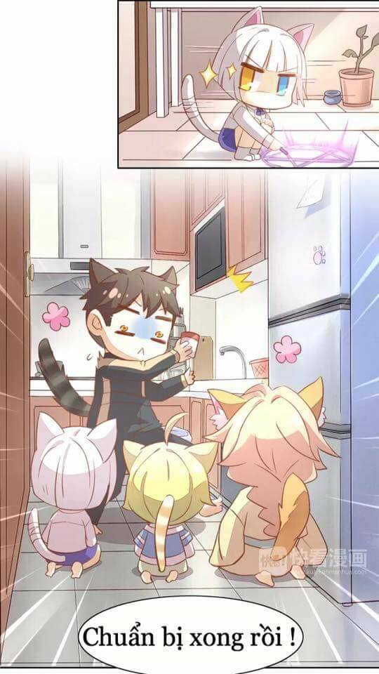Dưới Móng Vuốt Mèo: Chapter 6