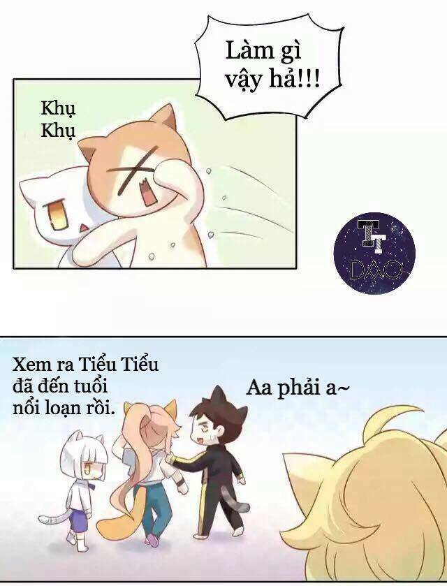 Dưới Móng Vuốt Mèo: Chapter 11