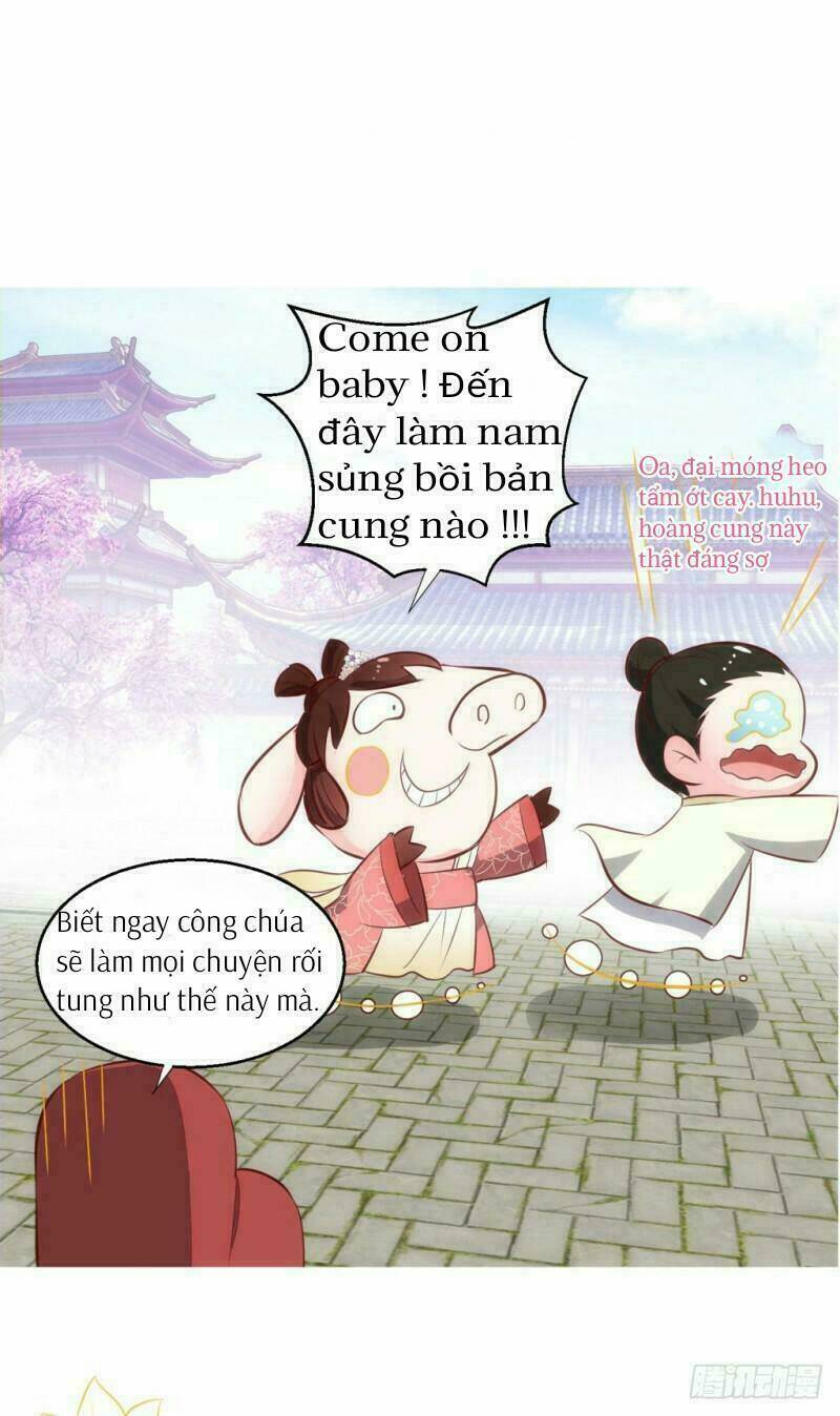 Bẩm Báo Công Chúa !: Chapter 1