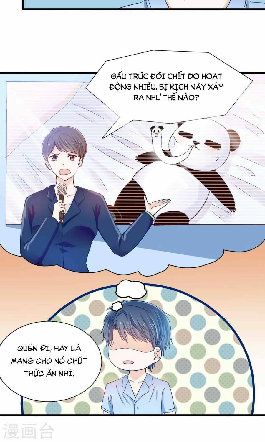 Tôi Bị Gấu Trúc Nhìn Trúng Rồi: Chapter 8