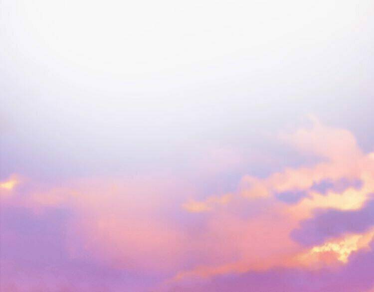 Báo Cáo Vương Gia, Vương Phi Là Một Con Mèo: Chapter 4