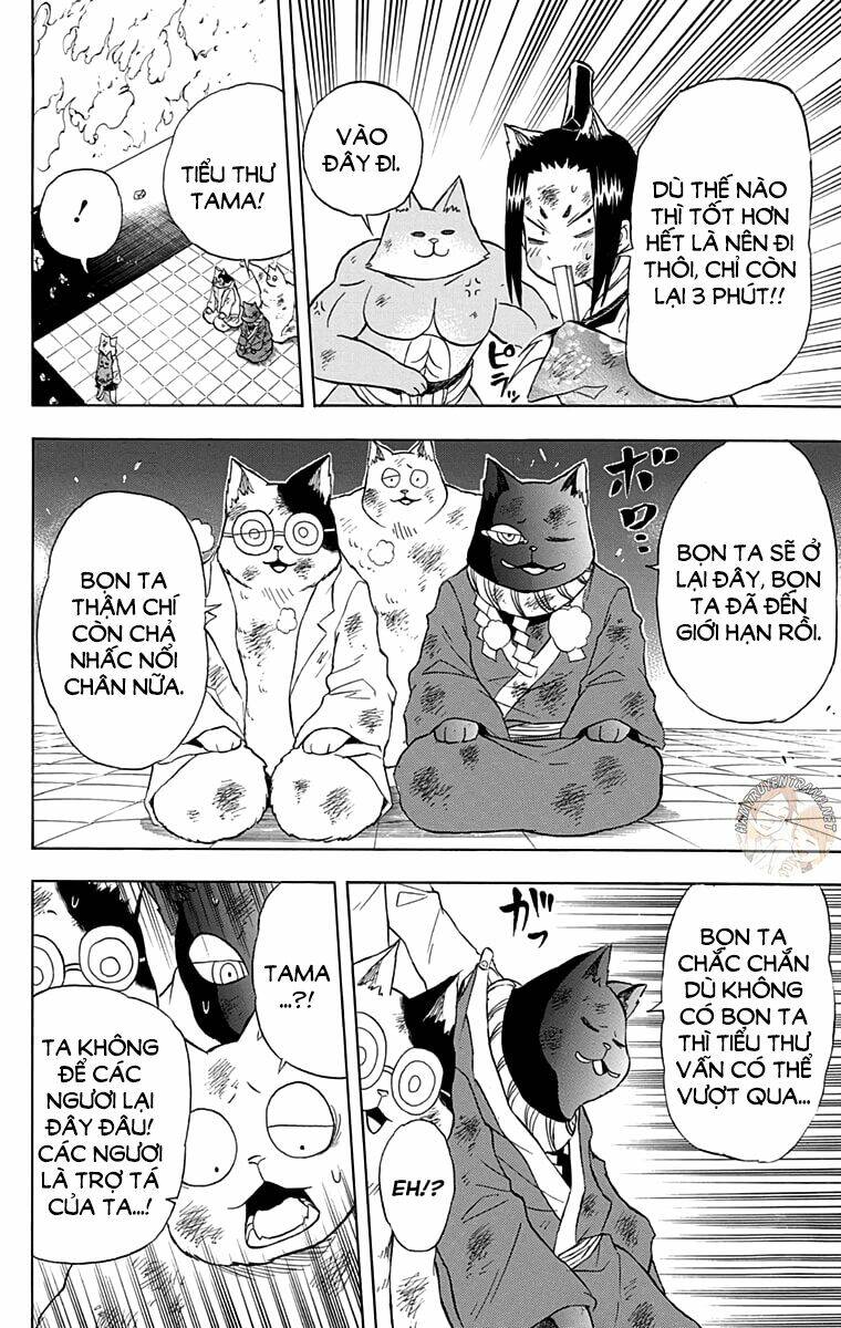 Nekowappa!: Chapter 13