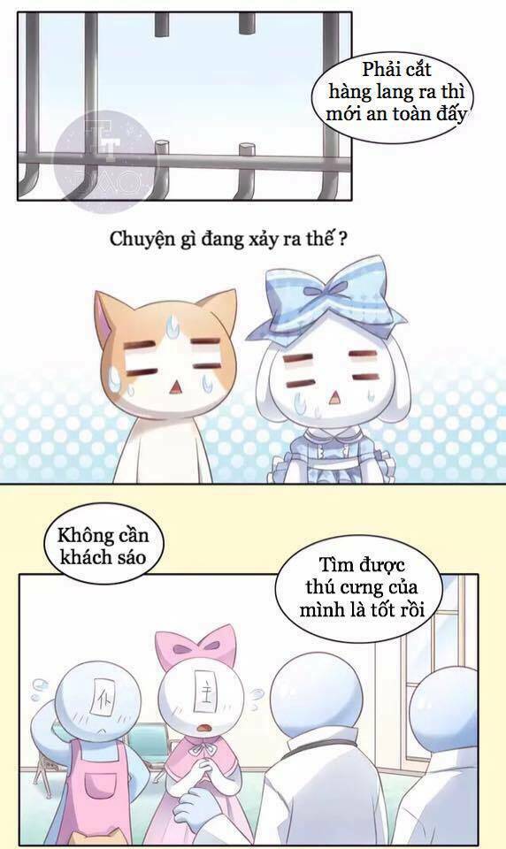Dưới Móng Vuốt Mèo: Chapter 15