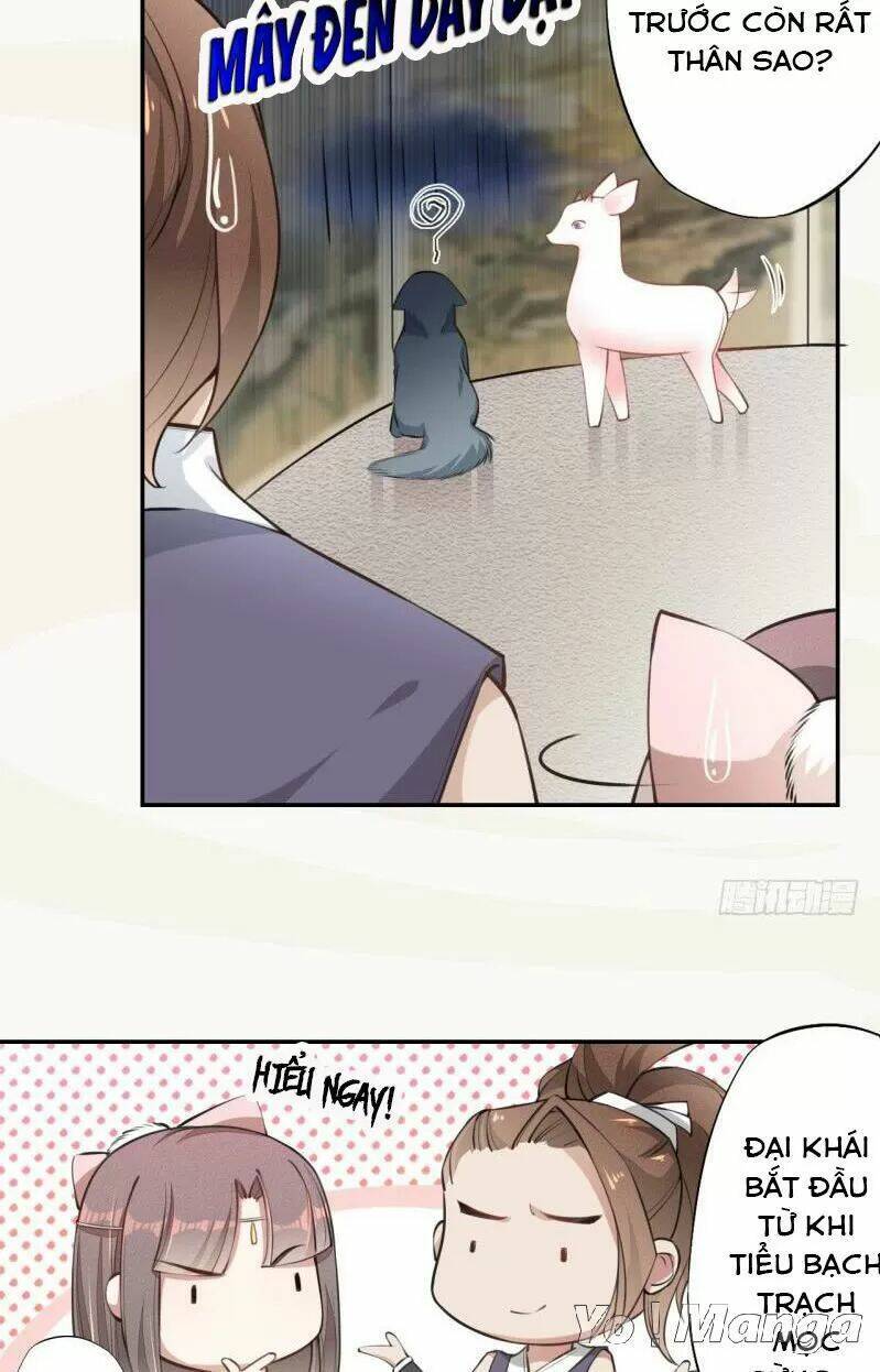 Tuyệt Thế Luyện Đan Sư: Chapter 51