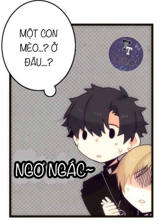 Biểu Đồ Của Linh Mục: Chapter 4