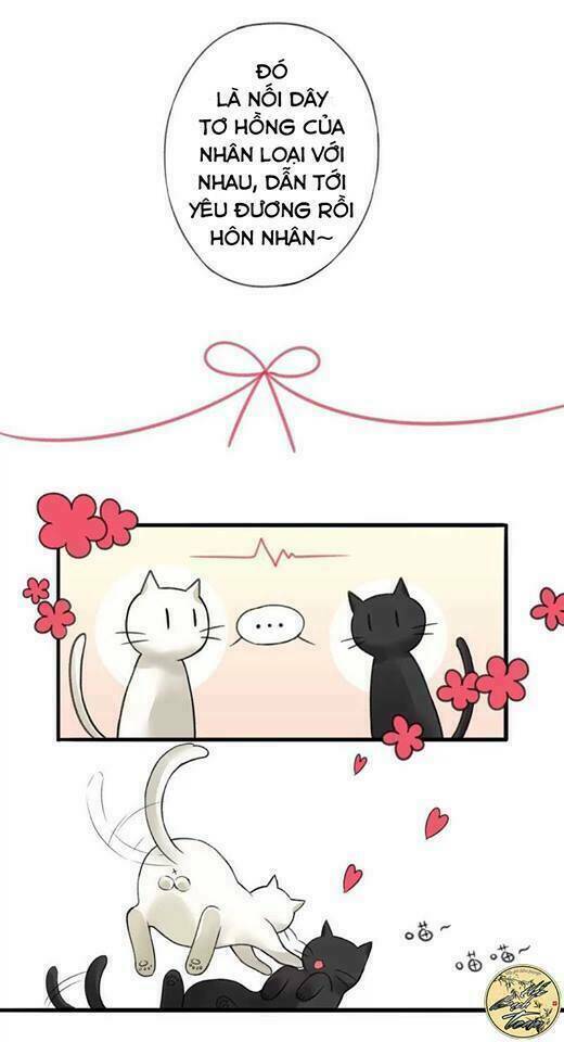 Ái Thần Thượng Môn: Chapter 2