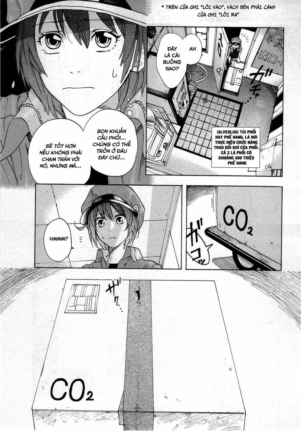 Hataraku Saibou!: Chapter 1