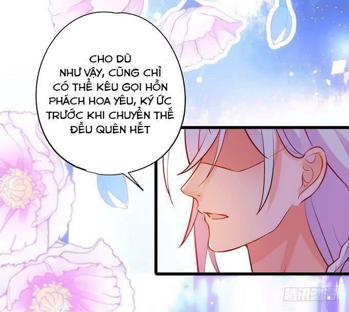 Hồ Tiên Hung Bạo: Chapter 116