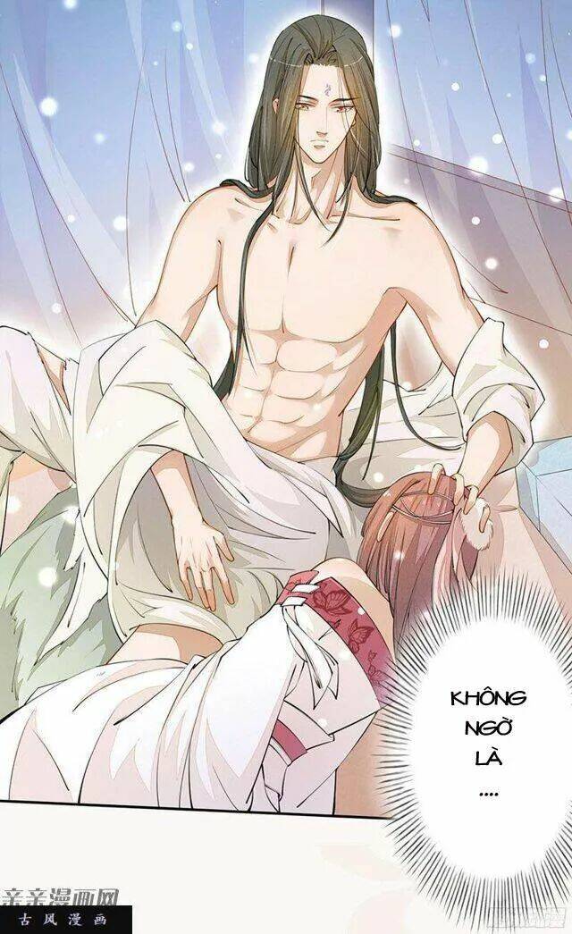 Tuyệt Thế Luyện Đan Sư: Chapter 27