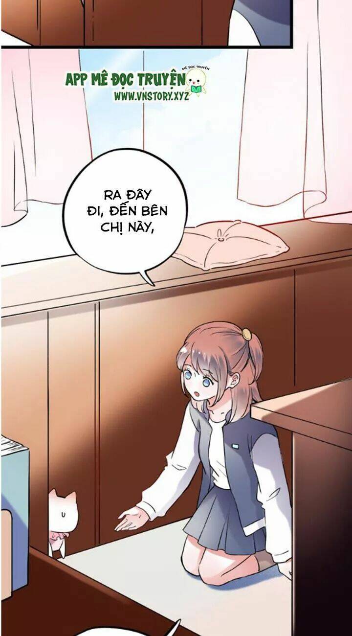 Trạch Thượng Tịch Mịch Huỳnh Hỏa: Chapter 21