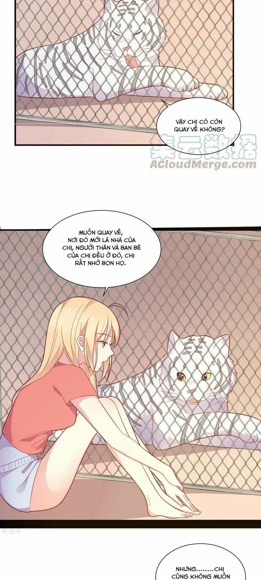 Hẹn Hò Siêu Tốc: Chapter 47