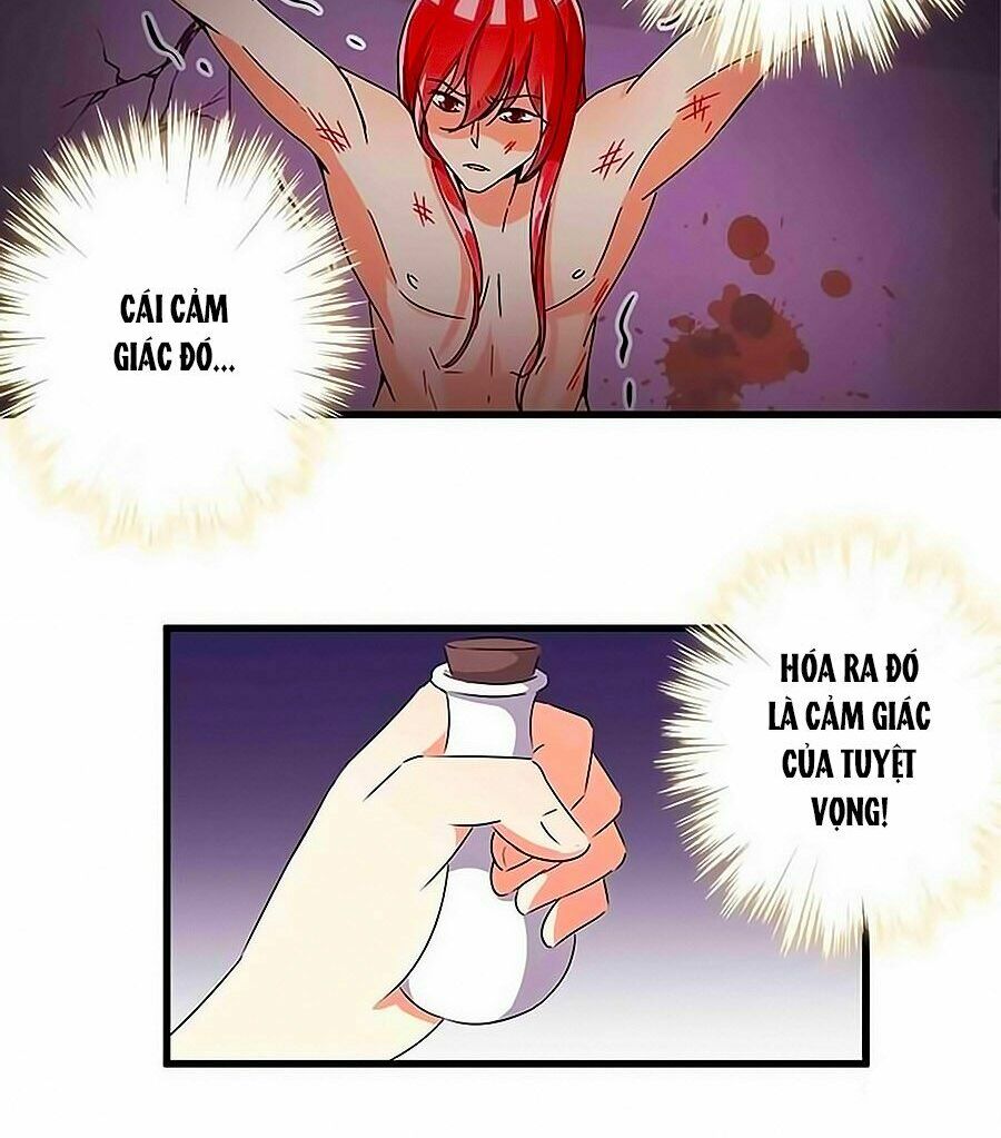 Vương Gia ! Ngươi Thật Bỉ Ổi !: Chapter 191