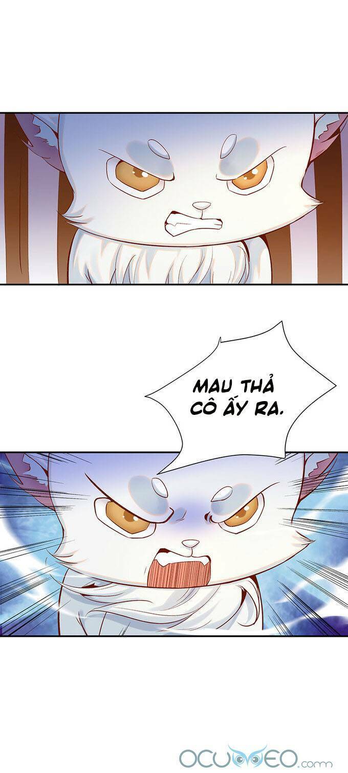 Minh Đế Độc Sủng Âm Dương Phi: Chapter 19