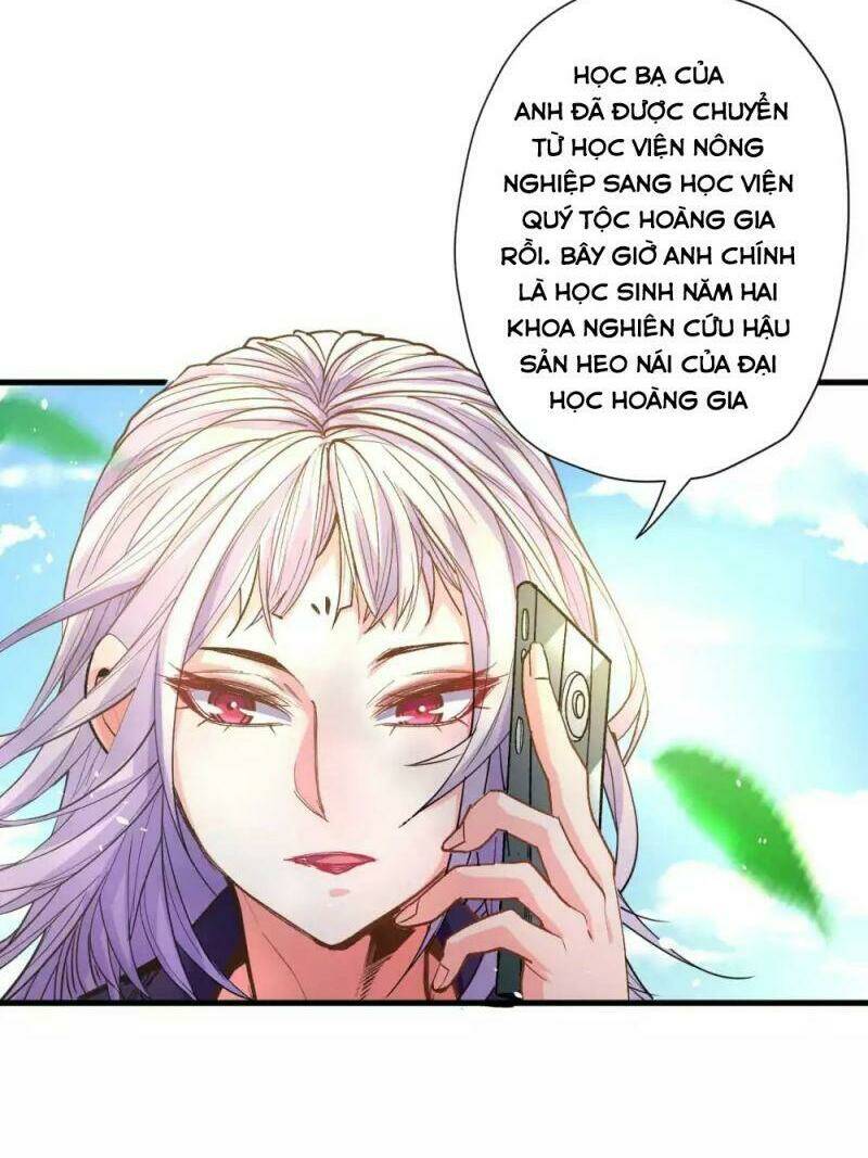Tối Cường Đại Biểu Hoàng Kim Thận: Chapter 111