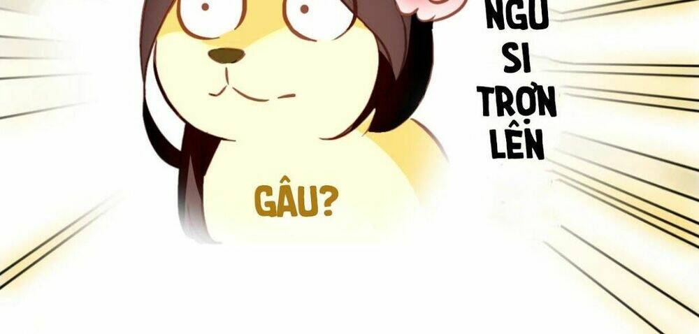 Mỹ Nhân Làm Tướng: Chapter 5