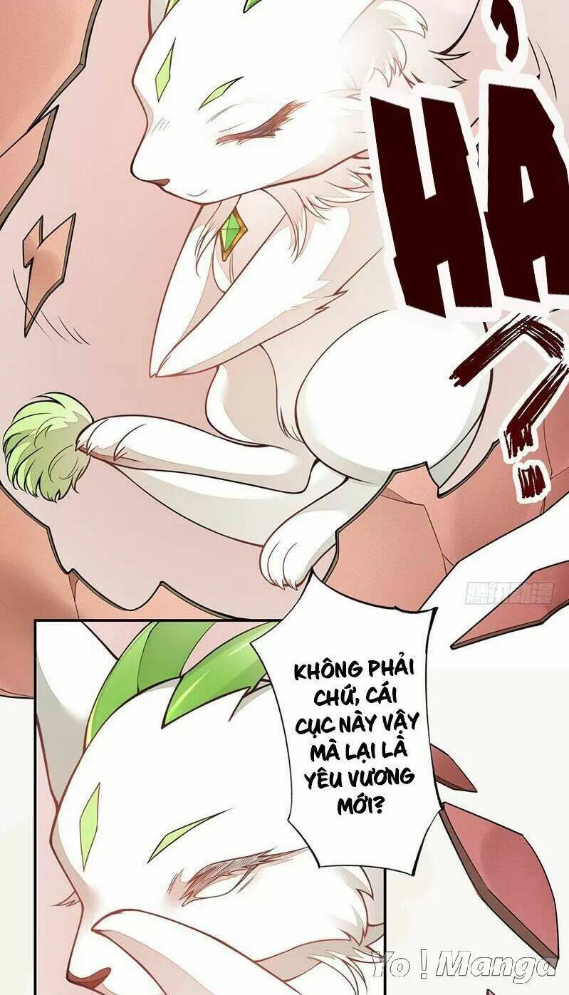 Tuyệt Thế Luyện Đan Sư: Chapter 138